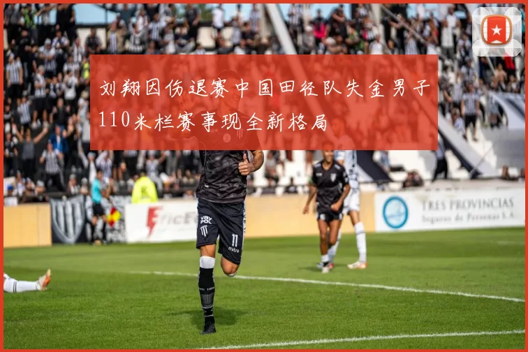 刘翔因伤退赛中国田径队失金男子110米栏赛事现全新格局